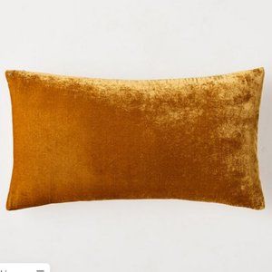 West Elm Velvet Pillow Cover 12 x 21